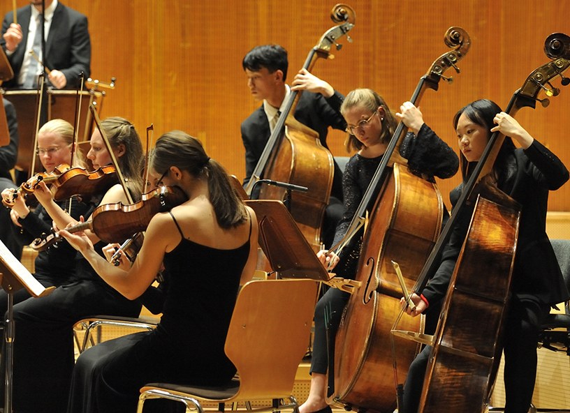 Abbildung: Kontrabassgruppe Orchester